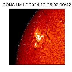 gong - 2024-12-26T02:00:42