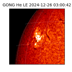 gong - 2024-12-26T03:00:42