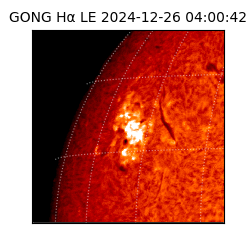 gong - 2024-12-26T04:00:42