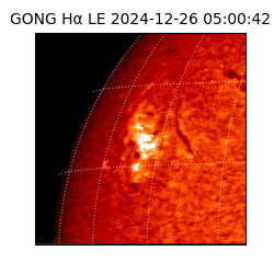 gong - 2024-12-26T05:00:42