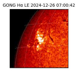 gong - 2024-12-26T07:00:42