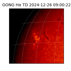 gong - 2024-12-26T09:00:22