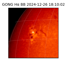 gong - 2024-12-26T18:10:02