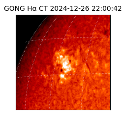 gong - 2024-12-26T22:00:42