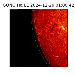 gong - 2024-12-26T01:00:42