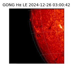 gong - 2024-12-26T03:00:42