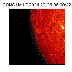 gong - 2024-12-26T06:00:42