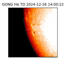 gong - 2024-12-26T14:00:22