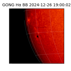 gong - 2024-12-26T19:00:02