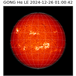gong - 2024-12-26T01:00:42