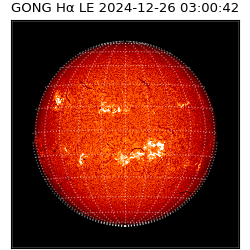 gong - 2024-12-26T03:00:42