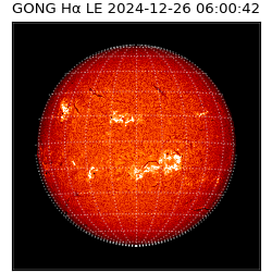 gong - 2024-12-26T06:00:42