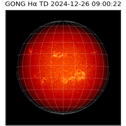 gong - 2024-12-26T09:00:22