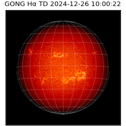 gong - 2024-12-26T10:00:22