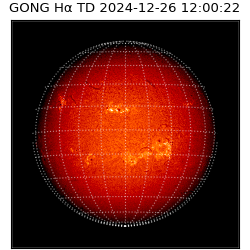 gong - 2024-12-26T12:00:22