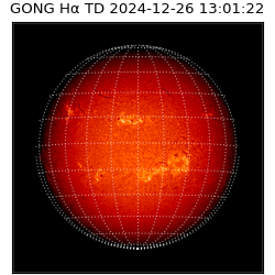 gong - 2024-12-26T13:01:22