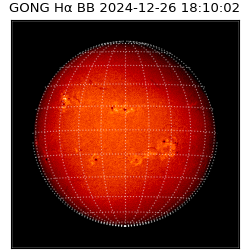 gong - 2024-12-26T18:10:02