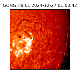 gong - 2024-12-27T01:00:42