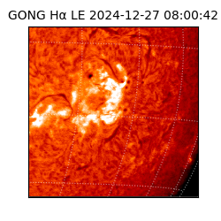 gong - 2024-12-27T08:00:42