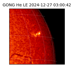 gong - 2024-12-27T03:00:42