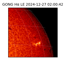 gong - 2024-12-27T02:00:42