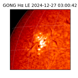 gong - 2024-12-27T03:00:42