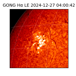 gong - 2024-12-27T04:00:42