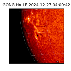 gong - 2024-12-27T04:00:42