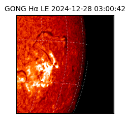 gong - 2024-12-28T03:00:42