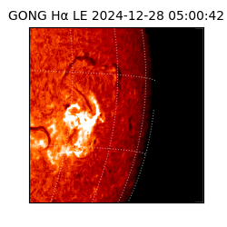 gong - 2024-12-28T05:00:42