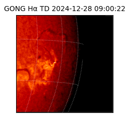 gong - 2024-12-28T09:00:22