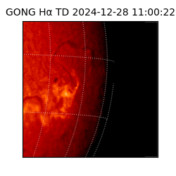 gong - 2024-12-28T11:00:22