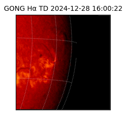 gong - 2024-12-28T16:00:22