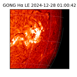 gong - 2024-12-28T01:00:42