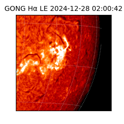 gong - 2024-12-28T02:00:42