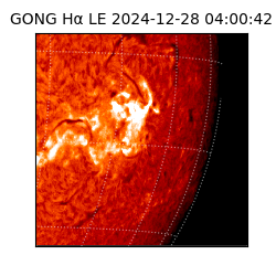 gong - 2024-12-28T04:00:42