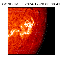 gong - 2024-12-28T06:00:42