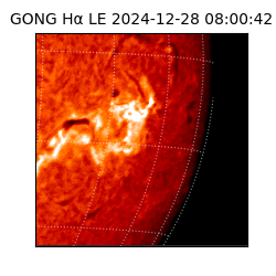 gong - 2024-12-28T08:00:42