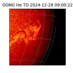 gong - 2024-12-28T09:00:22