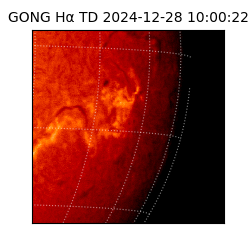 gong - 2024-12-28T10:00:22