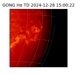 gong - 2024-12-28T15:00:22