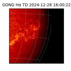 gong - 2024-12-28T16:00:22
