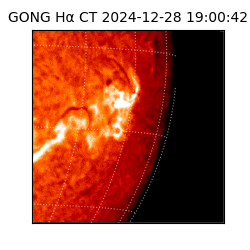 gong - 2024-12-28T19:00:42