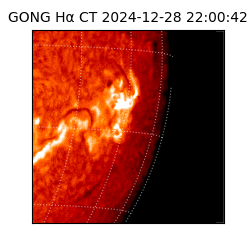 gong - 2024-12-28T22:00:42