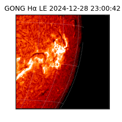 gong - 2024-12-28T23:00:42