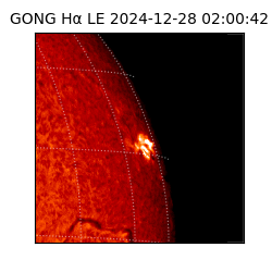 gong - 2024-12-28T02:00:42