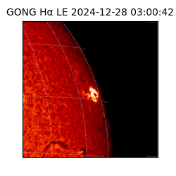 gong - 2024-12-28T03:00:42