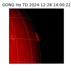 gong - 2024-12-28T14:00:22