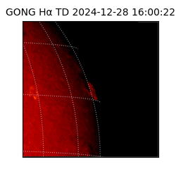 gong - 2024-12-28T16:00:22