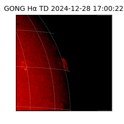 gong - 2024-12-28T17:00:22